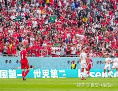 拉科鲁尼亚逼平波尔图球门惊喜的业合佳的简单介绍